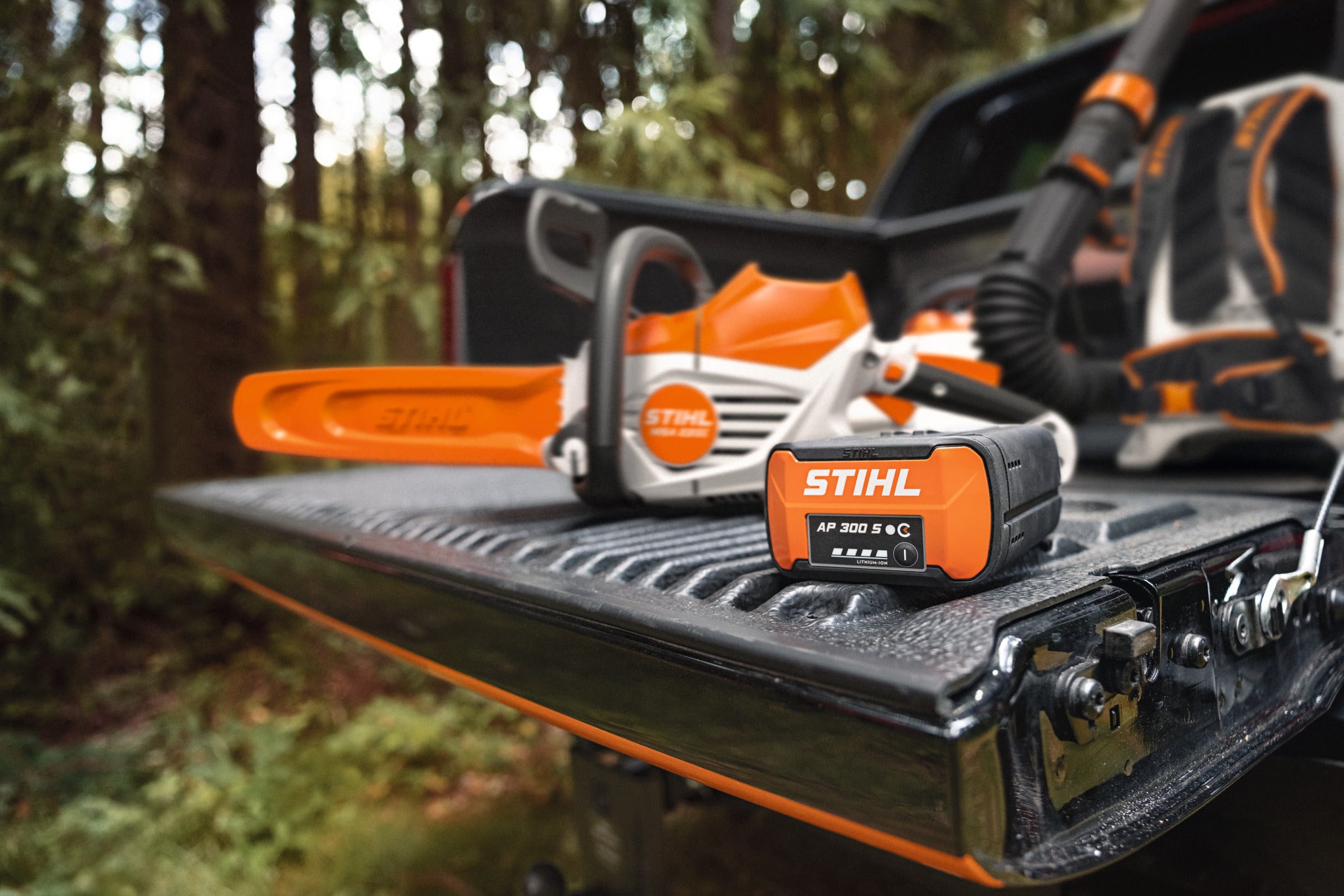 Stihl AP 300 S Lithium-Ion Battery | AP System