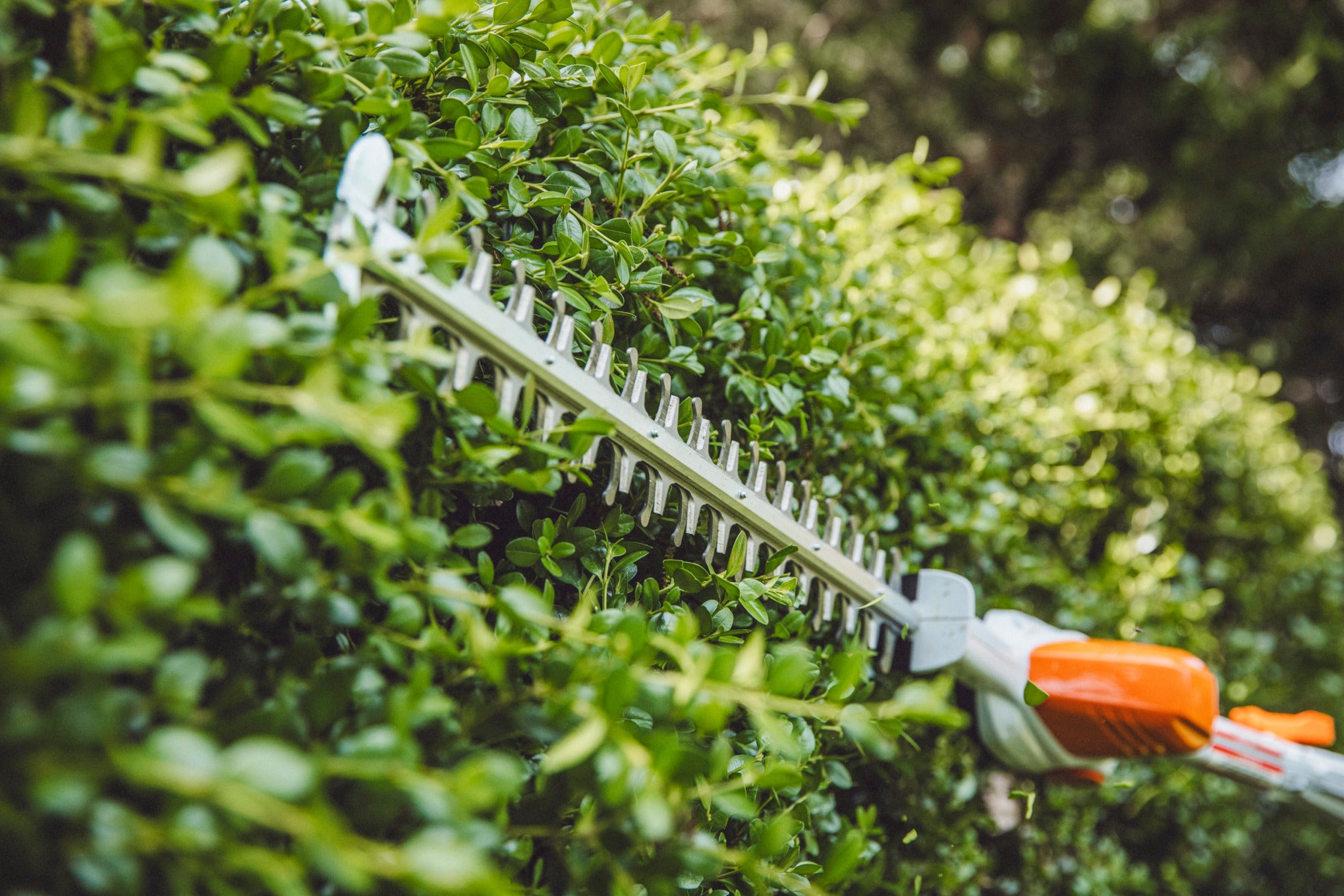 Stihl HLA 56 18" Battery Powered Hedge Trimmer | Unit Only