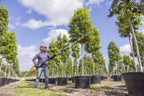 Stihl HLA 86 Battery Powered Hedge Trimmer | Unit Only