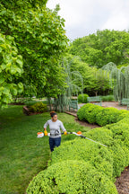 Stihl HLA 66 Battery Powered Hedge Trimmer | Unit Only