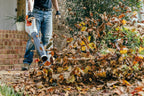 Stihl BGA 60 Battery Powered Handheld Blower | Set includes AK 30 battery & AL 101 charger