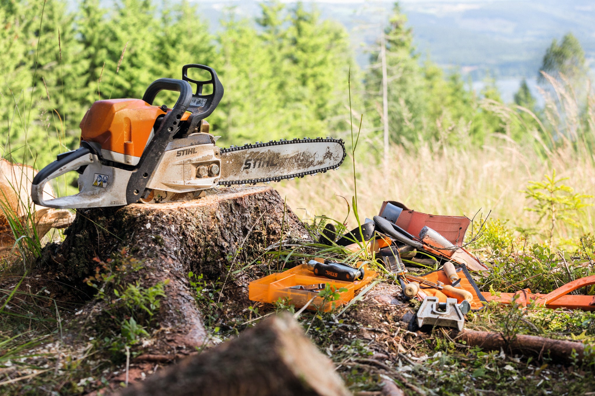 Stihl MS 362 C-M Gas Chainsaw | Up to 25" Bar, 3/8" Pitch Rapid Super 3