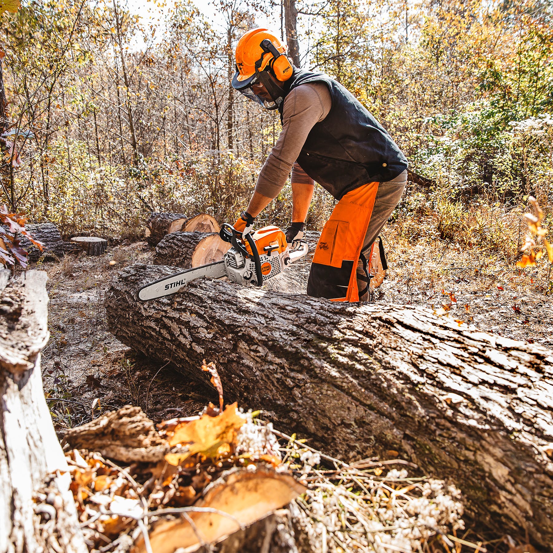 Stihl MS 391 Gas Chainsaw | 3/8" Pitch | Up to 25" Bar | 0.050" or 0.063" Gauge
